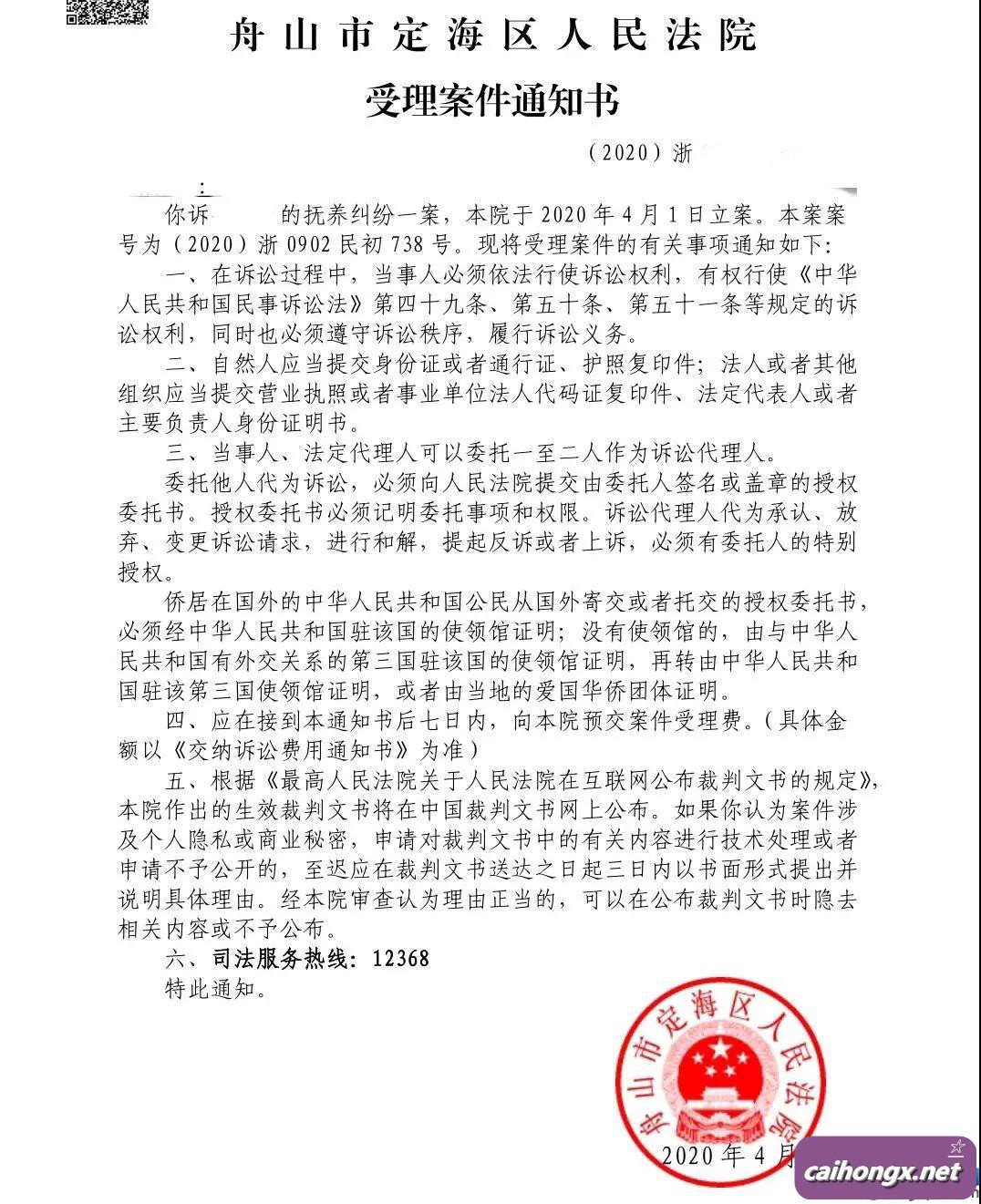 中国同性伴侣在美结婚后国内争夺抚养权 